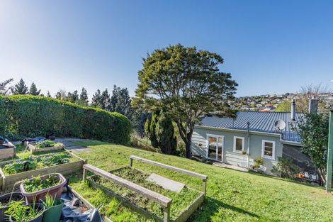 Photo of property in 138 Sidey Street, Calton Hill, Dunedin, 9012