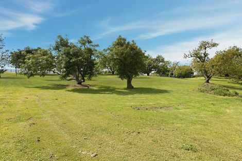 Photo of property in 248 Pyes Pa Road, Pyes Pa, 3173