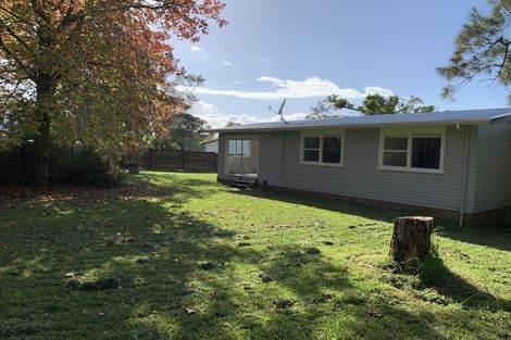 Photo of property in 46 Castleford Street, Green Bay, Auckland, 0604