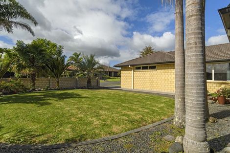 Photo of property in 30 Chater Avenue, Bethlehem, Tauranga, 3110