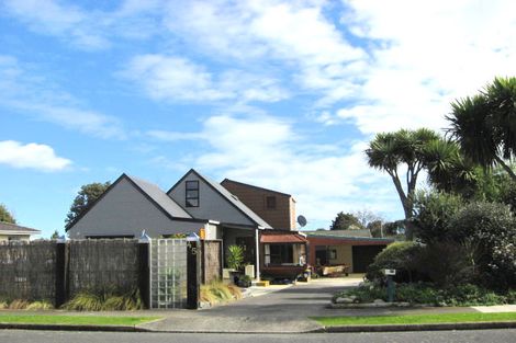 Photo of property in 45 Rimu Street, Levin, 5510