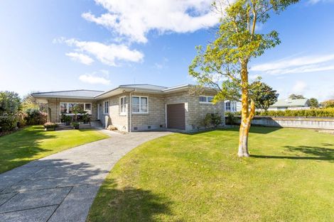 Photo of property in 49 Avenue Road, Greenmeadows, Napier, 4112