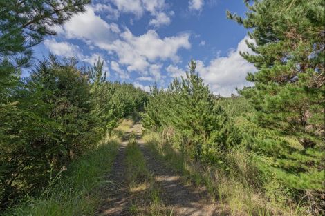 Photo of property in 425d Boat Harbour Road, Whenuakite, Whitianga, 3591