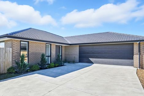 Photo of property in 41 Oates Street, Lincoln, 7608