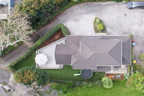 Photo of property in 248 Meola Road, Point Chevalier, Auckland, 1022