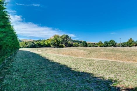 Photo of property in 100 Cohrs Road, Poukawa, Hastings, 4178