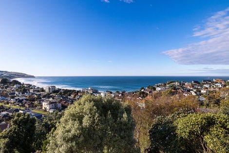 Photo of property in 46b Norfolk Street, Saint Clair, Dunedin, 9012