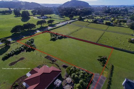 Photo of property in 11 Karanui Road, Te Kamo, Kamo, 0185