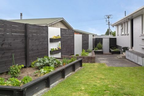 Photo of property in 4 Tamatea Road, Taupo, 3330