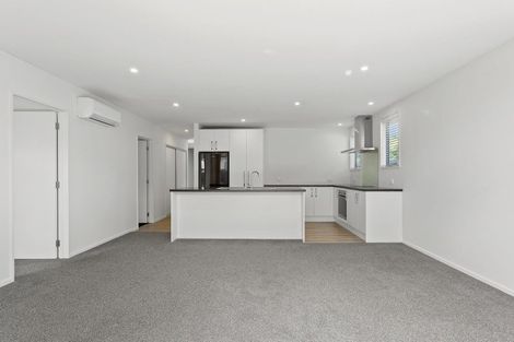 Photo of property in 87a Studholme Street, Somerfield, Christchurch, 8024