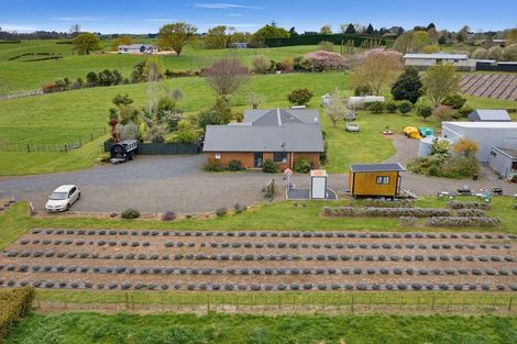 Photo of property in 169 Brotherhood Road, Kihikihi, Te Awamutu, 3875