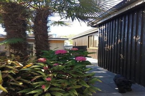 Photo of property in 10 Sheehan Street, Ponsonby, Auckland, 1011