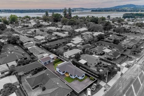 Photo of property in 99 Fifteenth Avenue, Tauranga South, Tauranga, 3112