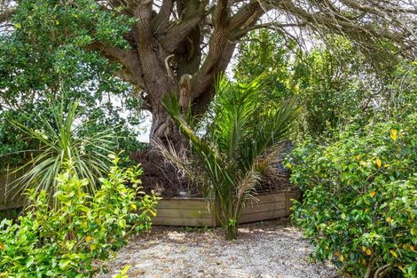 Photo of property in 24 Waite Street, Featherston, 5710