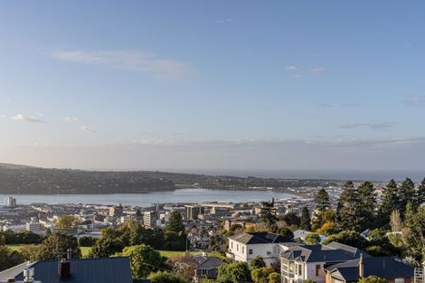 Photo of property in 29 Selkirk Street, Roslyn, Dunedin, 9010