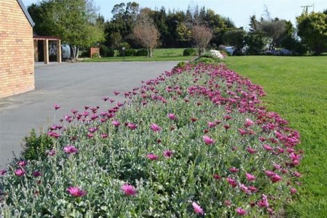 Photo of property in 146 Double Corner Road, Amberley, 7481