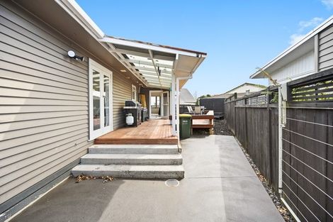 Photo of property in 50 Ascot Road, Chartwell, Hamilton, 3210