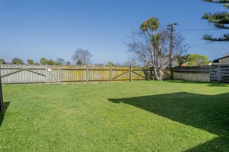 Photo of property in 11a Stuckey Street, Levin, 5510