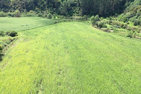 Photo of property in 181b No 1 Road, Te Puke, 3182