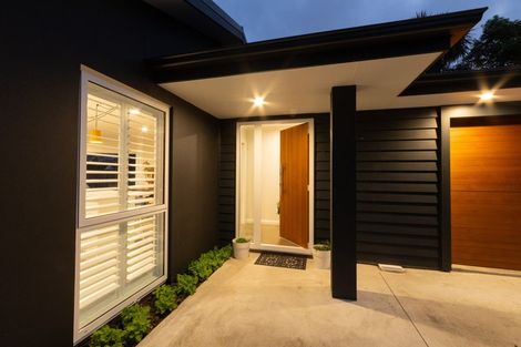 Photo of property in 68b Manson Street, Terrace End, Palmerston North, 4410