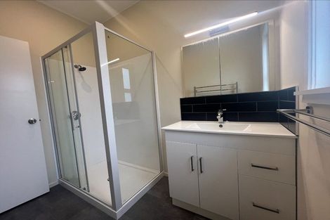 Photo of property in 75 Queen Street West, Levin, 5510