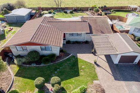 Photo of property in 22 Mahana Road, Ngatea, 3503