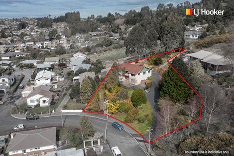 Photo of property in 31 Saint Albans Street, Bradford, Dunedin, 9011