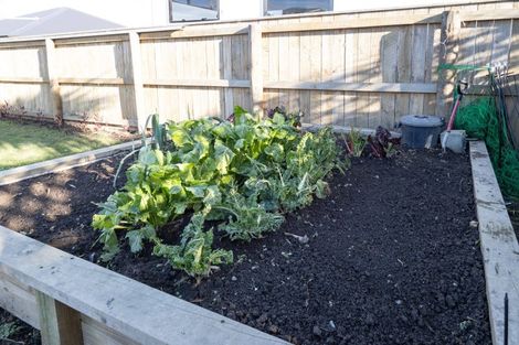 Photo of property in 21 Davidson Street, Allenton, Ashburton, 7700