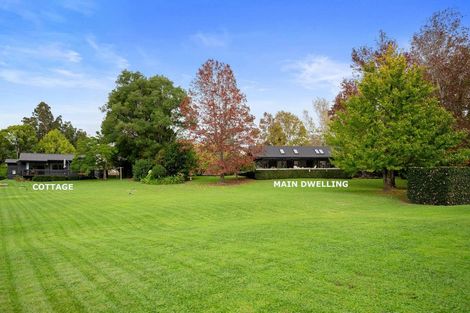 Photo of property in 36 Robinson Road, Coatesville, Albany, 0793