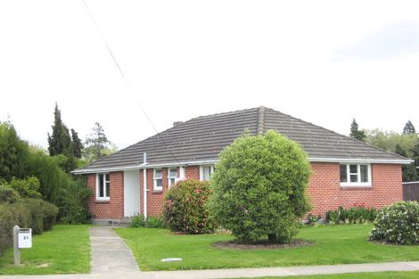 Photo of property in 21 Girling Avenue, Mayfield, Blenheim, 7201