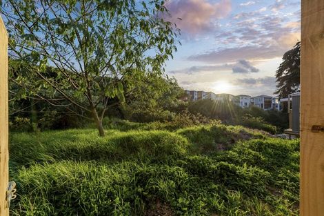 Photo of property in 3 Ripa Street, Flat Bush, Auckland, 2019