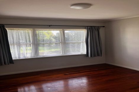 Photo of property in 59 Hutchinson Avenue, New Lynn, Auckland, 0600
