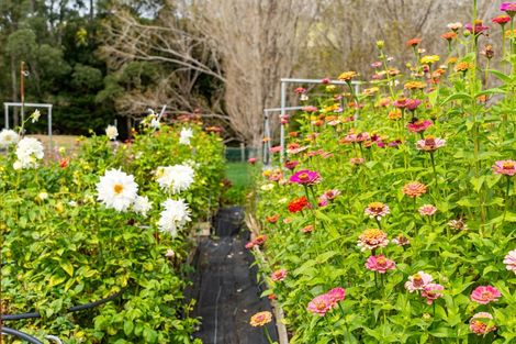 Photo of property in 2239b State Highway 12, Paparoa, 0571