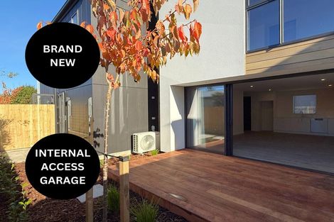 Photo of property in 3/26 Sydney Street, Spreydon, Christchurch, 8024