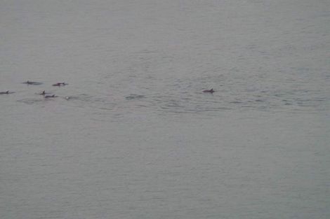 Photo of property in 27 View Road, Houghton Bay, Wellington, 6023