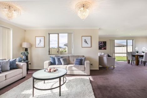 Photo of property in 10 Northwood Avenue, Mahora, Hastings, 4120