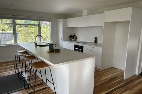 Photo of property in 61 Wychbury Street, Spreydon, Christchurch, 8024