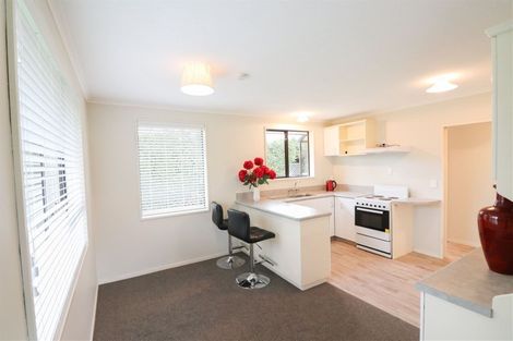 Photo of property in 115 Main North Road, Geraldine, 7930