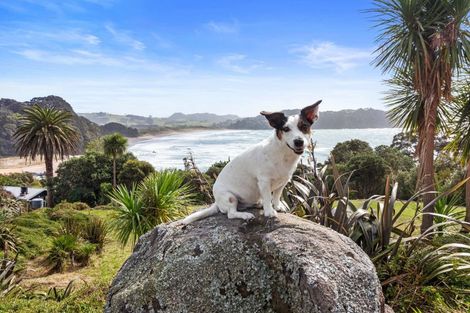 Photo of property in 57 Radar Road, Hot Water Beach, Whitianga, 3591