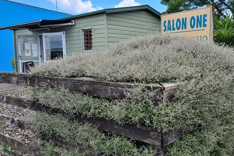 Photo of property in 68 Parry Palm Avenue, Waihi, 3610