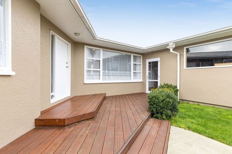 Photo of property in 9 Patea Place, Terrace End, Palmerston North, 4410
