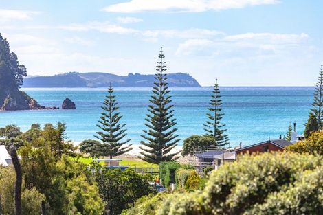 Photo of property in 232 Russell Bruce Place, Onemana, Whangamata, 3691