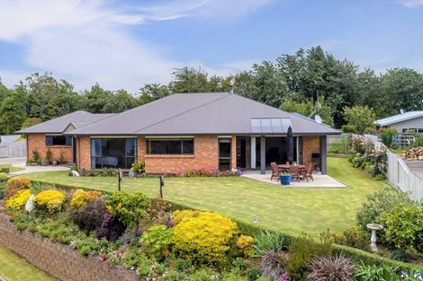 Photo of property in 17 Ruahine Street, Dannevirke, 4930