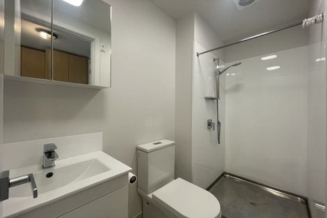 Photo of property in Vedado Apartments, 208/41 Hopper Street, Mount Cook, Wellington, 6011