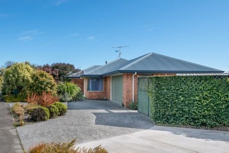 Photo of property in 53 Chelsea Avenue, Richmond, 7020