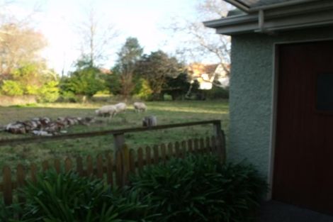 Photo of property in 620 York Street, Mahora, Hastings, 4120