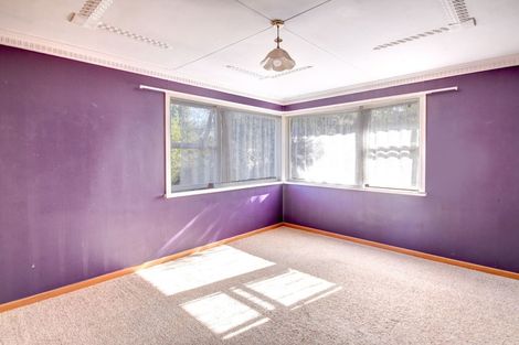 Photo of property in 19 Springfield Road, Milton, 9220