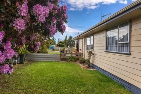 Photo of property in 29 Hydro Road, Edgecumbe, 3120