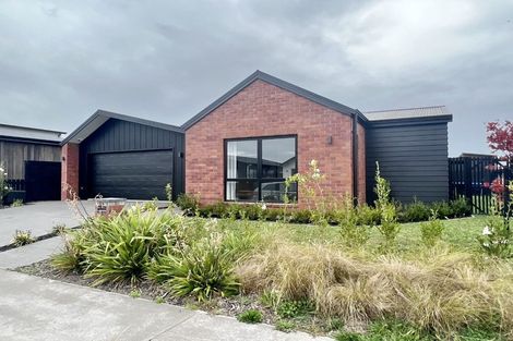 Photo of property in 37 Guillaume Street, Chartwell, Hamilton, 3210