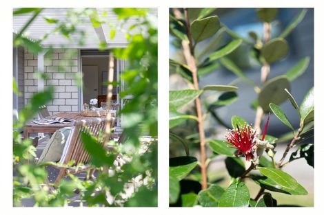 Photo of property in 123 Whakaturou Crescent, Pyes Pa, Tauranga, 3112